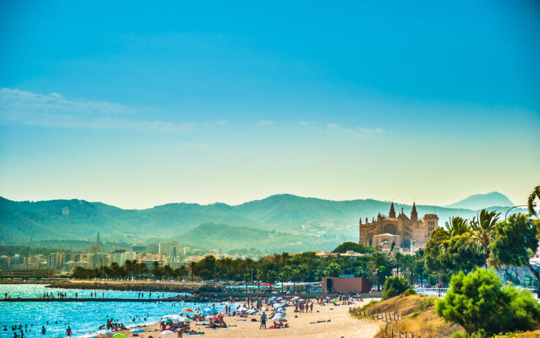 Empresas que ofrecen servicios de SEO en Mallorca. ¿Cuál elegir?